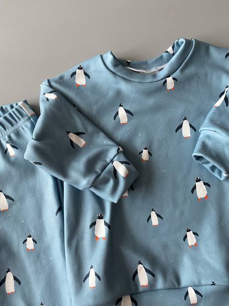 Піжама/костюм з мікрофлісу "Snow Penguins" (92-104рр.) Paj(mcrflis)-SnPeng-98 фото