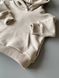 Костюм без начісу худі та джогери Tash (74-98рр) kostyum(hoodie(BN))-Tash-74 фото 3